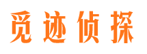 芦淞市婚姻出轨调查